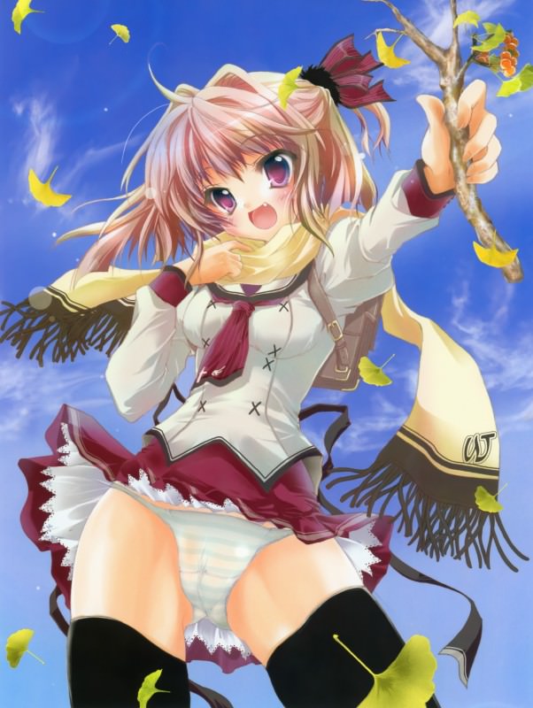  ,  ,    ,      .       ,       